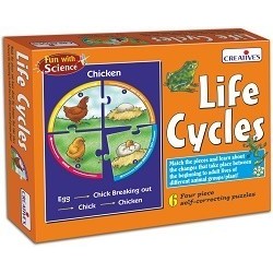 Life Cycles