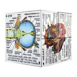 Zoobookoo - Human Body