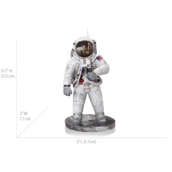 ICONX- Apollo 11 Astronaut