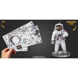 ICONX- Apollo 11 Astronaut