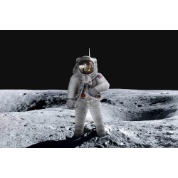 ICONX- Apollo 11 Astronaut