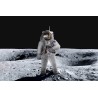 ICONX- Apollo 11 Astronaut