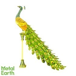 ICONX - Peacock