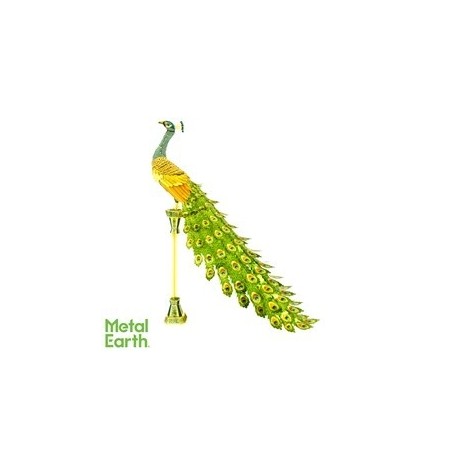 ICONX - Peacock
